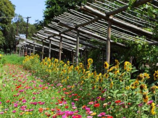 Jodev Farmstay - Facade or entrance