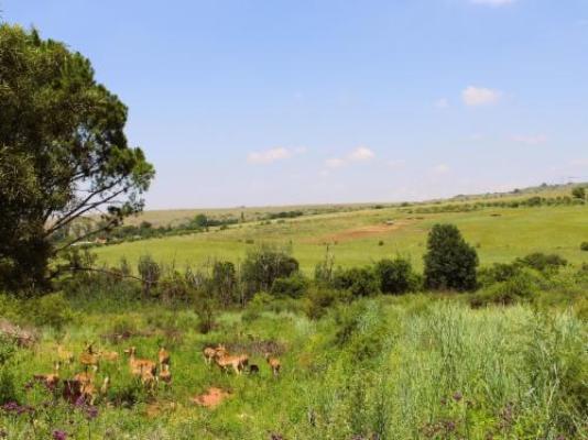 Jodev Farmstay - Neighbourhood