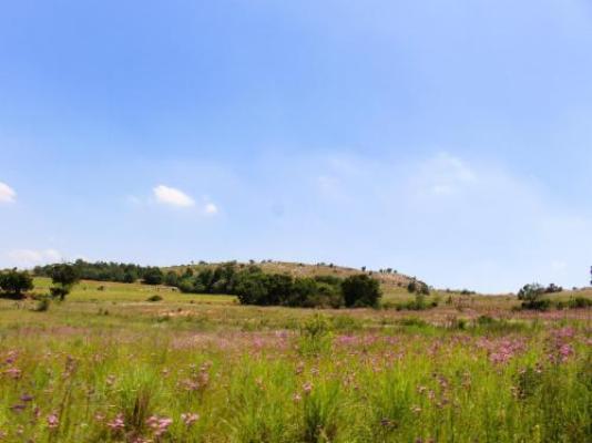 Jodev Farmstay - Garden