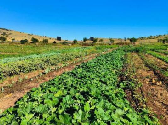 Jodev Farmstay - Natural landscape