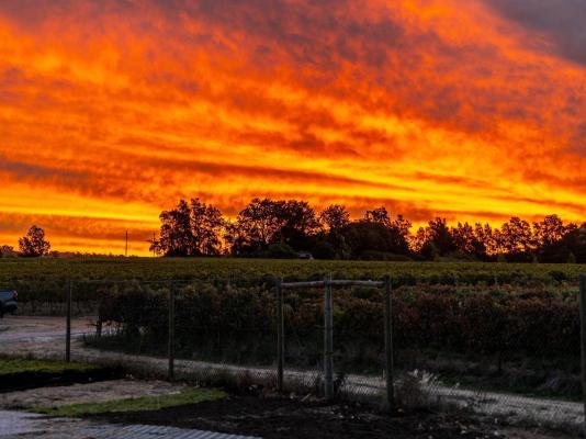 Luxcape Leo Sky Farm - 252445