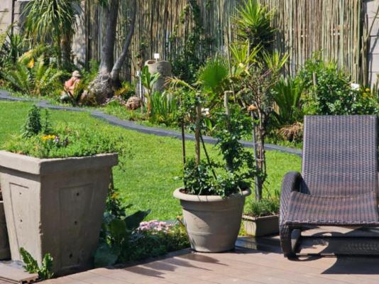 Rose Cottage - 252572