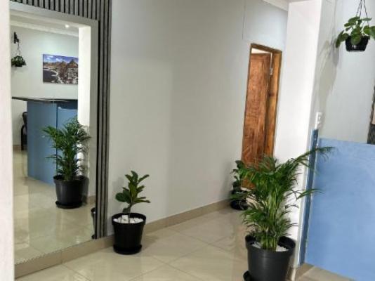 P Wake Luna Guest house - Decorative detail