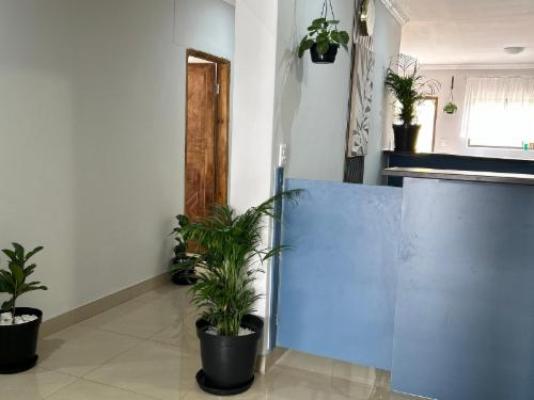 P Wake Luna Guest house - Decorative detail