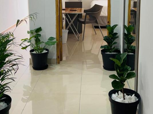 P Wake Luna Guest house - 252607