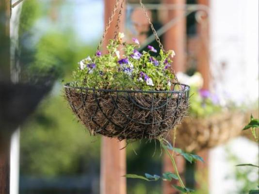 Nottingham Road Hotel - Facade or entrance