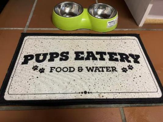 Mesnard @ Gino 6 - Decorative detail