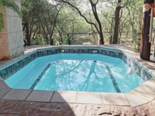 Kruger Tree Lodge - Swimming pool