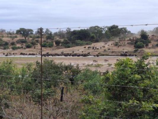 Kruger Tree Lodge - Neighbourhood
