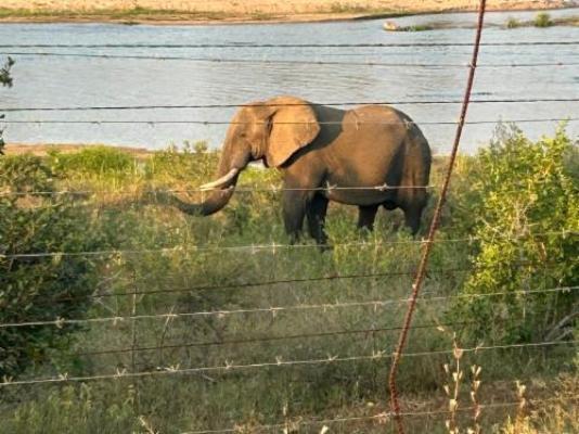 Kruger Tree Lodge - Neighbourhood