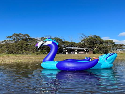 Rivers End Farm Stanford - 252948