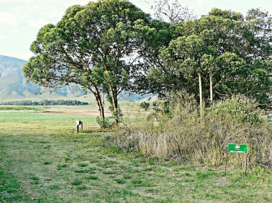 Rivers End Farm Stanford - 252960