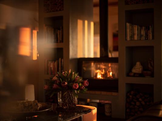 Whalesong Lodge - 252983