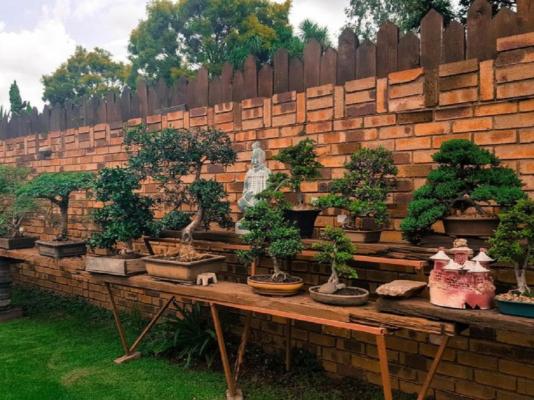 Aark Guest Lodge - 253072