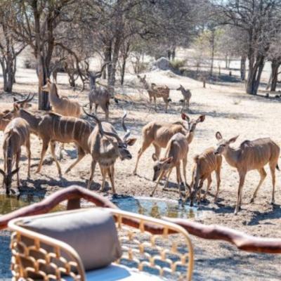 Deception Valley Lodge - 253118