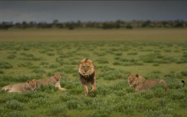 Deception Valley Lodge - 253122