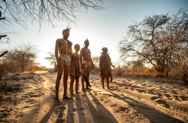 Deception Valley Lodge - 253128