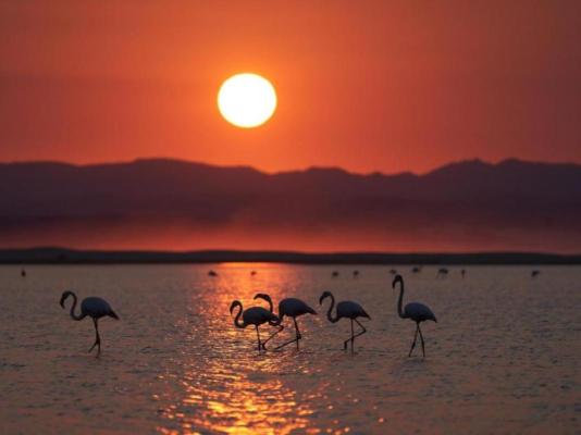 Soul Searchers - 253191