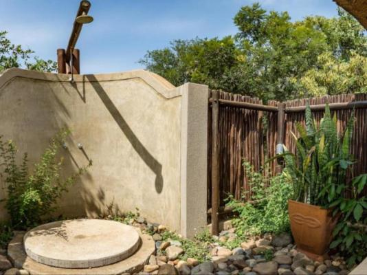 Raptors Lodge - 253233