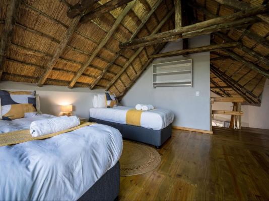 Raptors Lodge - 253247