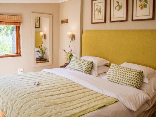 5 Seasons Guest House - 253508