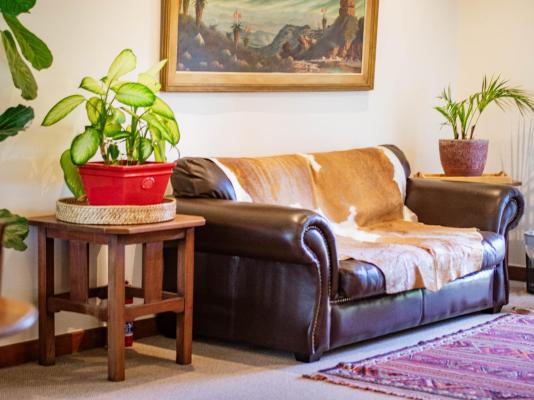 5 Seasons Guest House - 253517