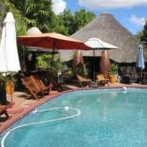 Golden Lantern Town Lodge - 253586