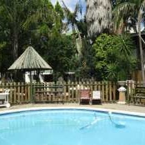 Golden Lantern Town Lodge - 253593