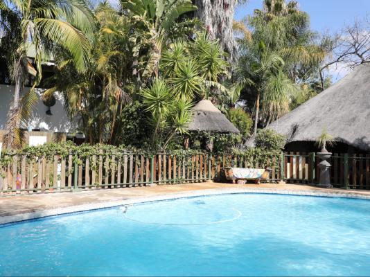 Golden Lantern Town Lodge - 253595