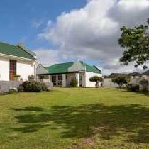 Arcangeli Wines - 253608