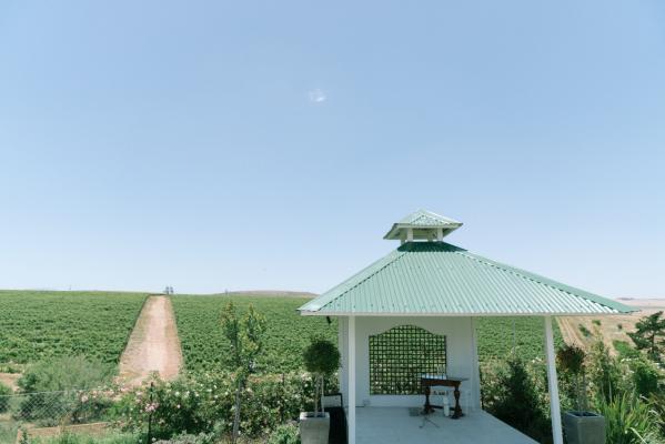 Arcangeli Wines - 253610