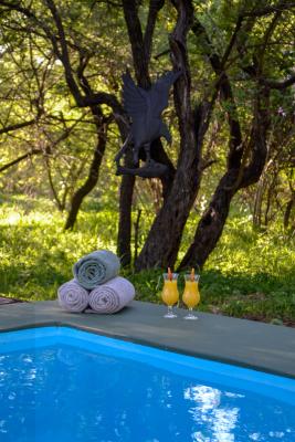 Franks Bush Camp - 253696