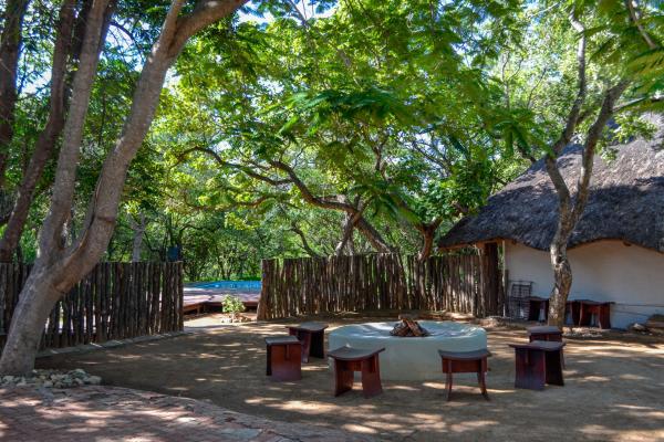 Franks Bush Camp - 253697