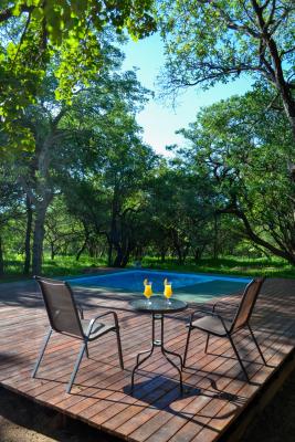 Franks Bush Camp - 253704