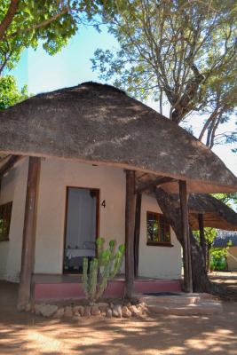 Franks Bush Camp - 253716