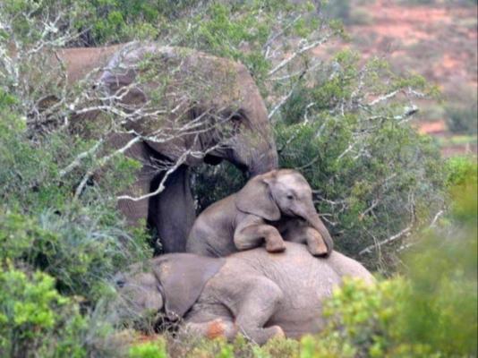 Gerald's Gift Guest House - 253751