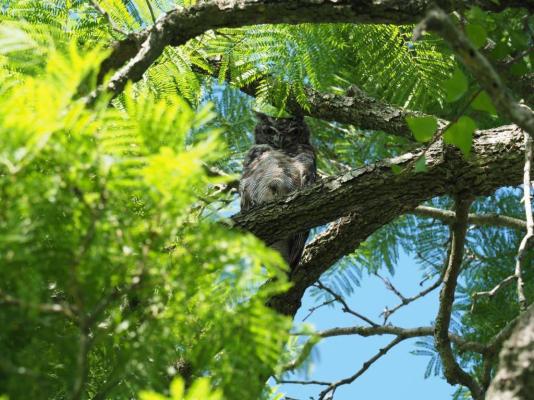 Gerald's Gift Guest House - 253762