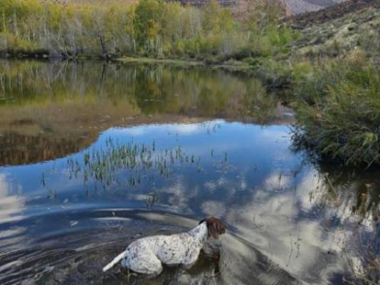 Droogeland - River view