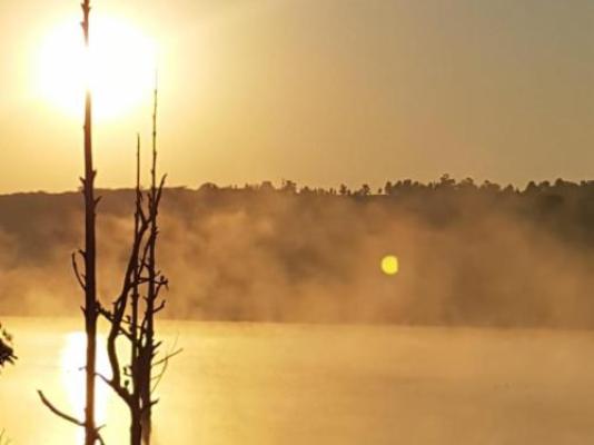 Goggas Nest BnB and Restaurant - Property / Building