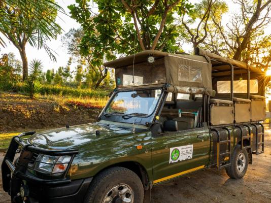 Chestnut Country Lodge - 254153