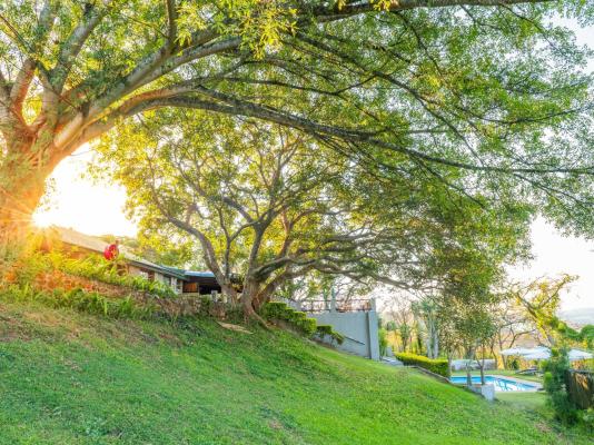 Chestnut Country Lodge - 254159