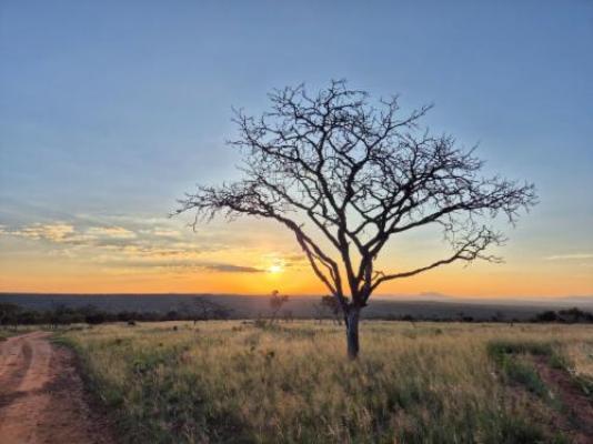 Vula Valla Game & Safaris - Natural landscape