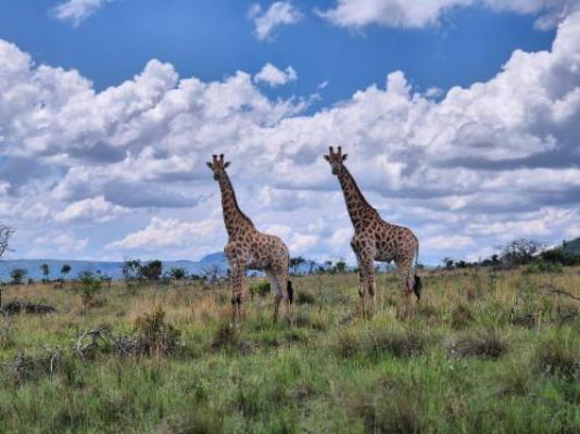 Vula Valla Game & Safaris - Natural landscape