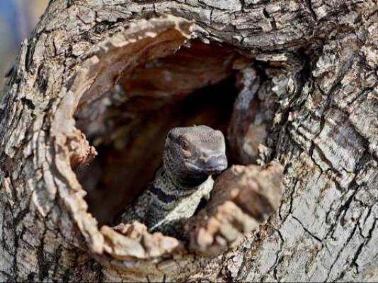 Vula Valla Game & Safaris - Natural landscape