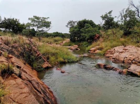 Vula Valla Game & Safaris - Natural landscape