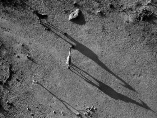 Vula Valla Game & Safaris - Bird's eye view