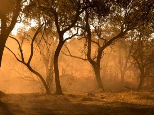 Vula Valla Game & Safaris - Natural landscape