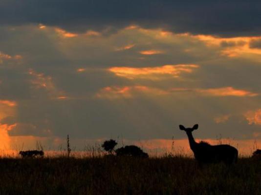 Vula Valla Game & Safaris - Natural landscape