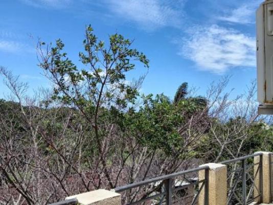 Book a House 14 - Natural landscape