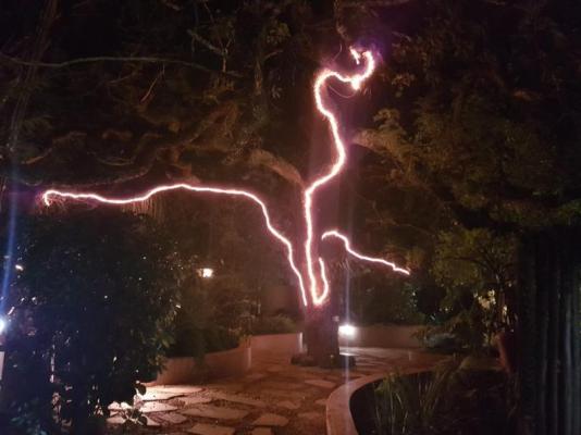 Wensleydale Guest Lodge - 254372